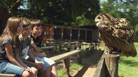 Sesamstraße – Fenja (9), Ben (9) und Marc (9) und ein Uhu.