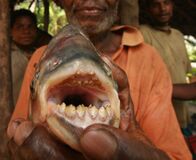 Fluss-Monster – Fr, 25.03., 04:05 Uhr
