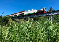 alpha-expedition: Mit dem Zug ... – Die Scenic Railway von St. Kitts auf der letzten der vier langen Geländer losen Brücken.