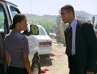 Diagnose: Mord – FBI-Agent Wagner (Harry J. Lennix, r.) und Amanda (Victoria Rowell, l.) streiten sich darüber, wer für die Untersuchung des Flugzeugabsturzes zuständig ist.