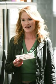 CSI: Den Tätern auf der Spur – CSI: Den Tätern auf der Spur (2008)