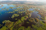 Faszination Wasser – Der Anklamer Stadtbruch an der deutschen Ostseeküste gehört zu den letzten großen Wildnisgebieten in Deutschland.