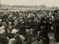 Ein Tag in Auschwitz – Ankunft in Auschwitz-Birkenau im Mai 1944: Juden, die in Güterwaggons aus Ungarn deportiert wurden.