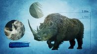 Terra X: Europa in ... – Das eiszeitliche Wollnashorn mit einer Schulterhöhe von bis zu zwei Metern besitzt eine große Ähnlichkeit mit dem Weißen Nashorn in Afrika.