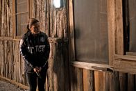 Law & Order: Special Victims Unit – Law & Order: Special Victims Unit (2015)
