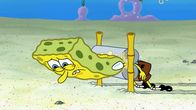 SpongeBob Schwammkopf – SpongeBob