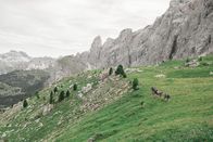 Wild Republic – Di, 31.05., 02:55 Uhr