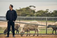 The Tourist - Irisches Blut – Der schwerreiche griechische Drogenboss Kosta (Alex Dimitriades) entschließt sich, die Dinge selbst in die Hand zu nehmen und reist nach Australien.