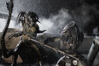 Aliens vs. Predator 2 – Als ein Raumschiff mit einer neuen Spezies, den Predaliens (l.), auf der Erde abstürzt, müssen die Menschen ums Überleben kämpfen. Aber auch ein erfahrener Predator (r.) macht sich auf den Weg, um die Stadt von den Angreifern zu befreien ...