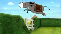 Sarah & Duck – Esel scheint ein hervorragender Springer zu sein.