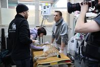 pur+ – Moderator Eric Mayer (2.v.r.) ist bei der medizinischen Untersuchung des Luchses Nero im Zoo Karlsruhe dabei. Der noch junge Luchs soll ausgewildert werden. Dafür muss er aber gesund sein und wird daher untersucht. Die Untersuchung wird von Tierarzt Marco Roller (l.) vom Zoo Karlsruhe und Biologin Eva Klebelsberg (2.v.l.) vom Projekt "Luchs Baden-Württemberg" vom "FVA-Wildtierinstitut - Forstliche Versuchs- und Forschungsanstalt" durchgeführt.