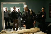 Navy CIS – Gemeinsam versuchen sie einen Mord aufzuklären: Gibbs (Mark Harmon, 2.v.r.), Ziva (Cote de Pablo, r.), Tony (Michael Weatherly, 2.v.l.), McGee (Sean Murray, l.) und Special Agent Courtney Krieger (Dorian Brown, M.) ...