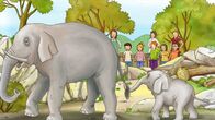 Meine Freundin Conni – Ein Ausflugstag im Kindergarten führt Conni in den Zoo. Dort lernt Conni Wissenswertes über große und kleine Tiere.