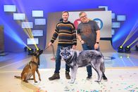 1, 2 oder 3 – Naturführer Stephan Kaasche (l.) ist mit seinem Hund Amina bei Elton (r.) im Studio zu Gast und berichtet vom spannenden Leben der Wölfe.