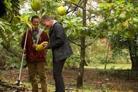 Gordon Ramsay: Kulinarische Abenteuer – Hawaii - Mike (L) introduces Gordon Ramsay to breadfruit, a fruit that can be used as a vegetable.