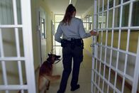 Reporter – Reporter Das Frauengefängnis Mitarbeiterin des Sicherheitsdienstes mit Drogenhund