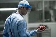 Pathology – Der junge Pathologe Ted (Milo Ventimiglia) ist in eine Gruppe Nachwuchsmediziner geraten, die ihr anatomisches Wissen nutzen um Menschen, die sie für Abschaum halten, ins Jenseits zu befördern.