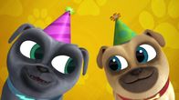 Welpen Freunde – L-R: Bingo, Rolly