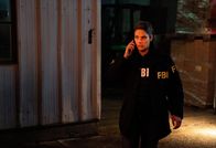 FBI: Special Crime Unit – FBI: Special Crime Unit (2019)