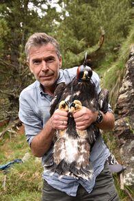 Terra X: Faszination Erde – Adler im Visier: Dirk Steffens hält einen jungen Steinadler, damit das Tier mit einem GPS-Sender ausgestattet werden kann. Die Daten seiner Flugrouten sollen helfen, den Adler zu schützen.