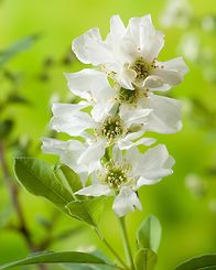 Kuders Gartenparadies – Mi, 02.04., 10:00 Uhr