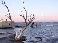 Lost Places - Geheime Welten – Das Schwimmbad von Epecuén. Heute ragen nur noch ein alter Baum und der Rest eines Sprungturms aus dem Wasser, nach dem eine Flut den Ort überspült hat.
