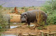 Abenteuer Namibia – Abenteuer Namibia (2019)