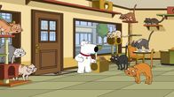 Family Guy – Mo, 18.04., 21:45 Uhr