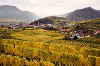 Winzerlegenden – Landschaftsbild vom Weingut Hirtzberger.