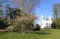 Gartenzeit – Das Schloss auf der Pfaueninsel mit Magnolie