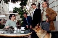 Kommissar Rex – (v.li.) Thomas Strasser (Tom Weninger), Heinz Weixelbraun (Christian Böck), Gedeon Burkhard (Alexander Brandnter), Martin Weinek (Fritz Kunz).