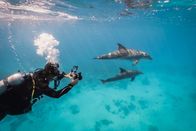 Einstein – Dreharbeiten im Roten Meer