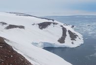 Mysteriöse Inseln – Mysteriöse Pinguinreste werden auf Lamplugh Island entdeckt, einem Ort, der für diese kurzbeinigen Kreaturen unerreichbar ist. (Kredit: Steven Emslie)