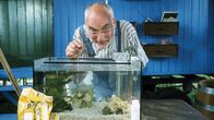 Löwenzahn Classics – Im Aquarium versucht sich Peter Lustig (Peter Lustig) als Perlmuschelzüchter.