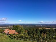 Der Geschmack Europas – Weingut Dorner.