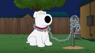Family Guy – Family Guy (2015)