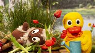 Unser Sandmännchen – Pitti landet auf dem Blumenbeet.