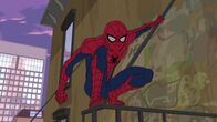 Spider-Man – Peter Parker/Spider-Man (voiced by Robbie Daymond)