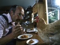 Löwenzahn Classics – Peter hat bei einer Verlosung ein Huhn gewonnen. Was soll er mit dem Tier machen?