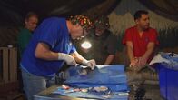 Tierarzt Dr. Jeff - Der Rocky Mountain Doc – Mi, 21.05., 06:55 Uhr