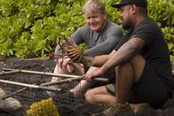 Gordon Ramsay: Kulinarische Abenteuer – Hawaii - (L to R) Gordon Ramsay and chef, Sheldon Simeon, with a freshly caught spiny lobster.