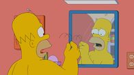 Die Simpsons – Die Simpsons (2013)