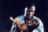 Roots – John Amos