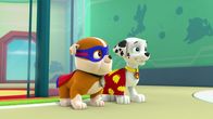 Paw Patrol – Paw Patrol (2014)