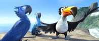 Rio – Blue (l.) und Jewel (M.) geraten von einer misslichen Lage in die nächste. Doch gemeinsam mit Rafael (r.) versuchen sie alles, um den Gefahren in Rio zu entkommen ...