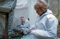 Tatort – Susanne Bonard (Corinna Harfouch, re.) und Robert Karow (Mark Waschke, li.) werten die Spuren am Tatort aus, wo der tote Obdachlose im Wald entdeckt wurde.