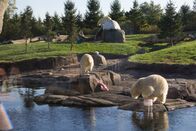 Zoogeflüster – Sa, 13.06., 10:30 Uhr