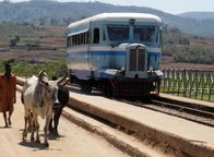 Mit dem Zug ... – Jeder auf seiner Spur: die Zebus und die Micheline.