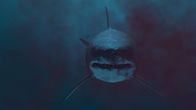 Giganten der Urzeit – Ausgestorbener Riesenhai: Der Megalodon - das größte Raubtier aller Zeiten. Der Ur-Hai wurde bis zu 20 Meter lang und 50 Tonnen schwer.