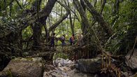 Wunderstoffe – Die Lebendigen Brücken in Meghalaya spielen im Alltag der Khasi noch heute eine wichtige Rolle.